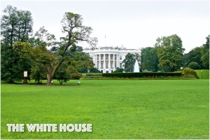 The White House Washington DC USA
