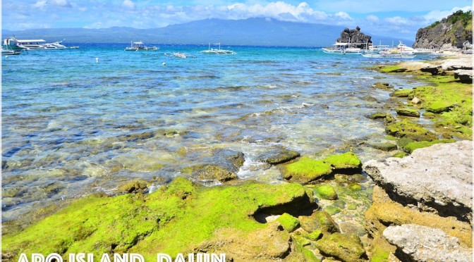 NEGROS ORIENTAL… Remarkable Swim with Pawikans at Apo Island
