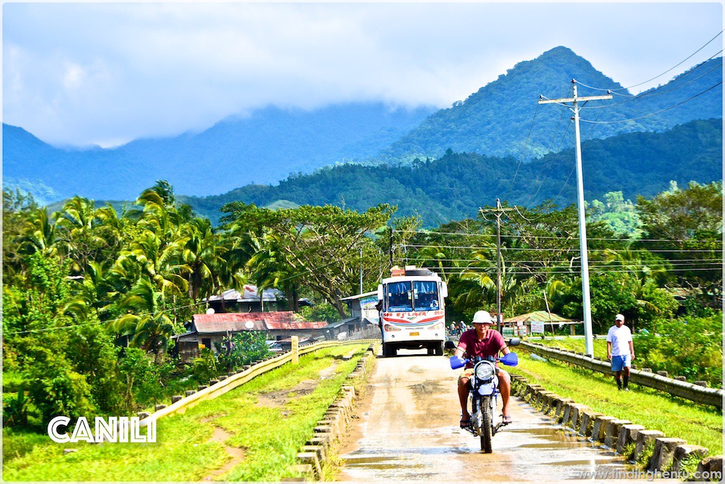 the junction in Canili