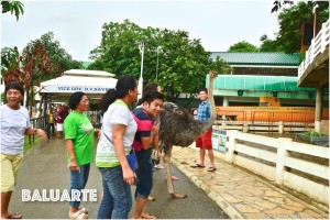 Baluarte Vigan Ilocos Sur