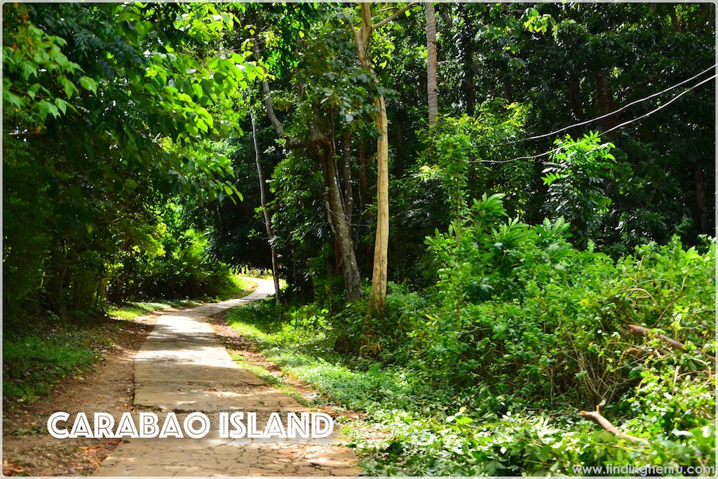 the roads in Carabao Island, but new and biggers roads are on-going