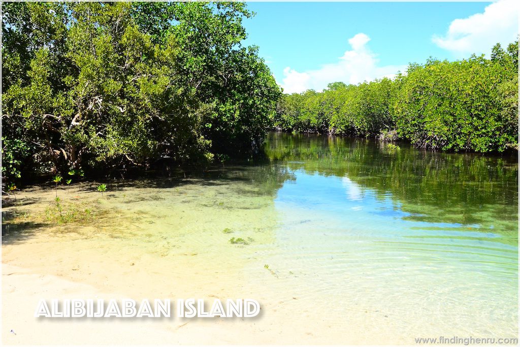 the river... mangroves on both sides