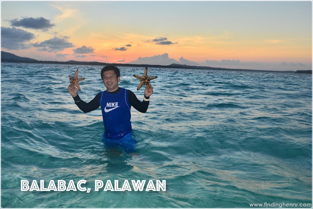 some of the starfishes at the sandbar