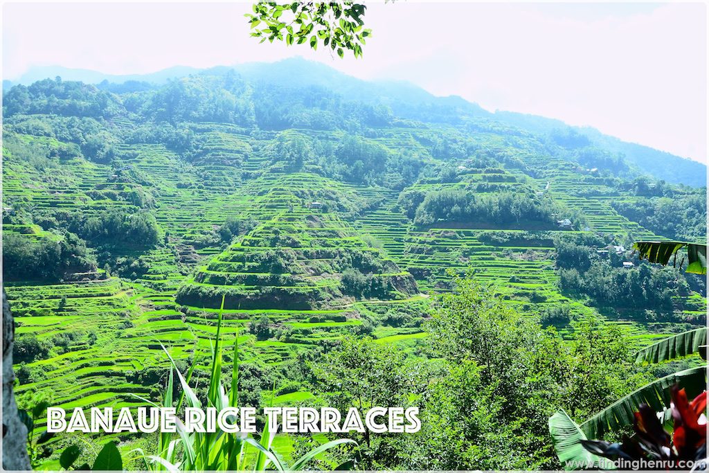 the view of Banaue Rice Terraces from the restaurant where we had our breakfast