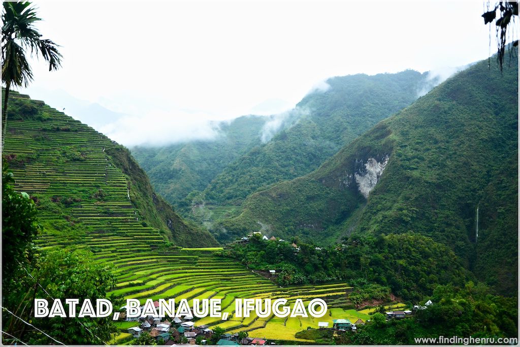 the view of the rice terraces from our cottage