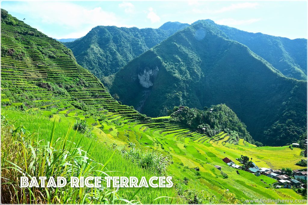 while walking at the dikes of the rice terraces