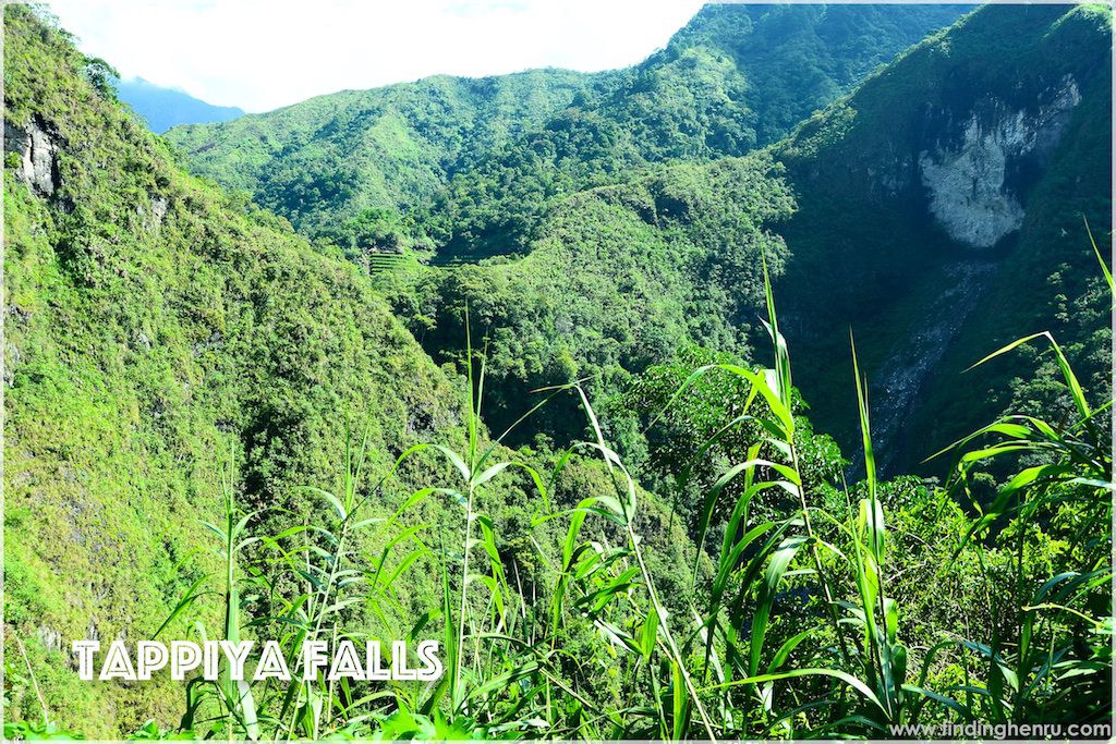 the view from the house near the passageway to Tappiya Falls