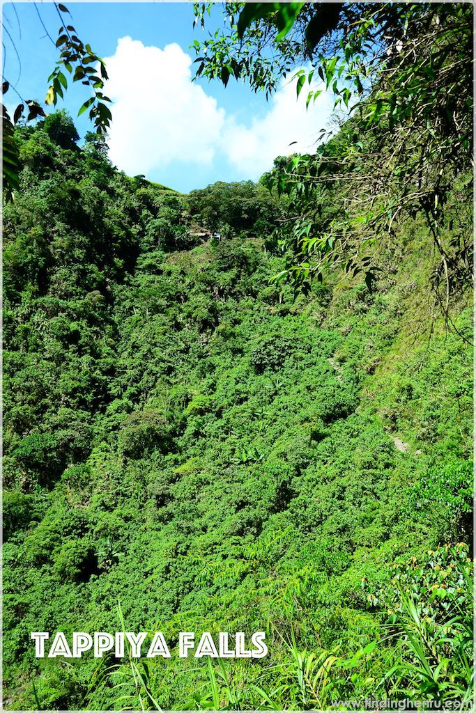 this should be the way to climb up the mountains back to the rice terraces and our accommodation