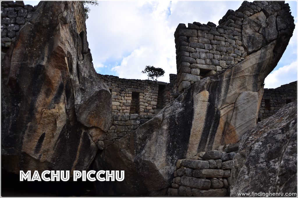 machu-picchu-temple-condor