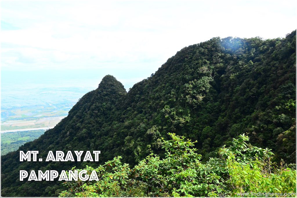 arayat